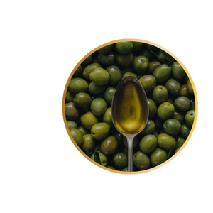 Olivenöl